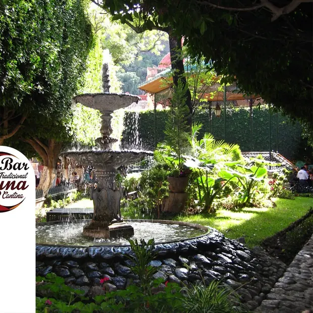 Jardín y fuente
